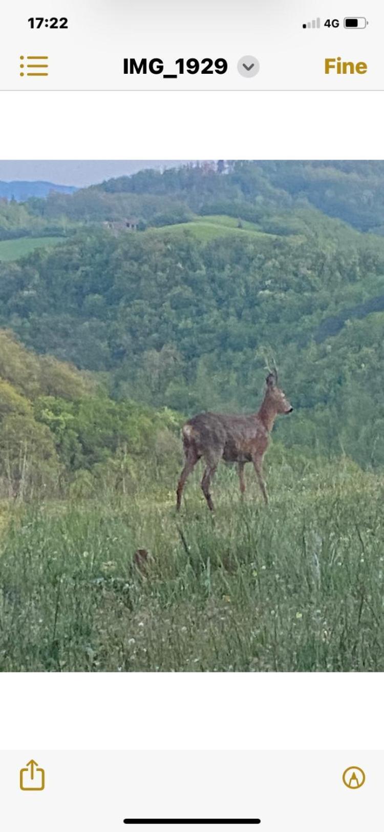 B&B Le Ginestre Сала-Баганца Экстерьер фото